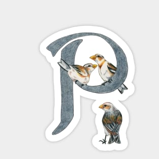 Avian Alphabet P - Snow bunting Sticker